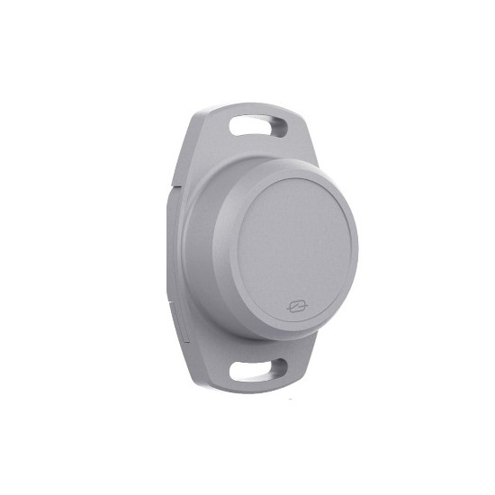 NEPM2 Asset Beacon with Wirepas Mesh